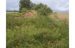 Wizualizacja działka, inwestycyjna, Niedalino