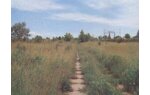 Wizualizacja land plot, investment, Parzniew
