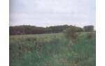 Wizualizacja land plot, investment, Parzniew