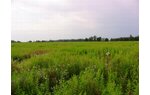 Wizualizacja działka, inwestycyjna, Stradomia Wierzchnia