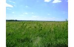 Wizualizacja działka, budowlana, Strupina