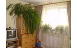 Wizualizacja mieszkanie czteropokojowe na sprzedaż, Skarbka z Gór, Warszawa, Białołęka