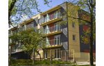 Wizualizacja Brzózki Julianowskie, ks. Brzóski 94, Łódź, Bałuty