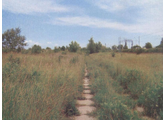 Wizualizacja area Parzniew, 17/3, 40,726.00 sqm.