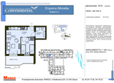Rzuty mieszkanie - wysoki standard, Krynica Morska, ul. Przyjaźni 7, A.13, 2-pokojowe, 36,70 mkw., parter