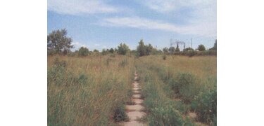 area Parzniew, 17/3, 40,726.00 sqm. : 0 