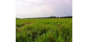area Stradomia Wierzchnia, ul. Akacjowa, Sosnowa, Wierzbowa, Jarzęb, 705/19, 3,704.00 sqm. : 0 