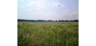 area Stradomia Wierzchnia, ul. Akacjowa, Sosnowa, Wierzbowa, Jarzęb, 705/19, 3,704.00 sqm. : 1 