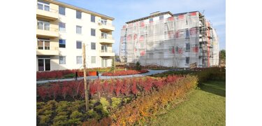 Osiedle Południowe, Gdańsk, Chełm, ul. Starogardzka, flats : 5 