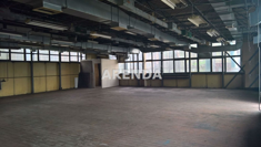 Magazyn na sprzedaż, 336,00 m², oferta nr ARE-HS-99749-4