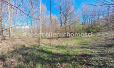 Działka na sprzedaż, 4 639,00 m², oferta nr APK-GS-48651