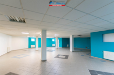 Lokal użytkowy do wynajęcia, 162,44 m², oferta nr FRC-LW-194860