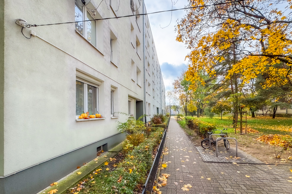 Mieszkanie 48,00 m², parter, oferta nr , 1066/14727/OMS, Warszawa, Konduktorska-idx