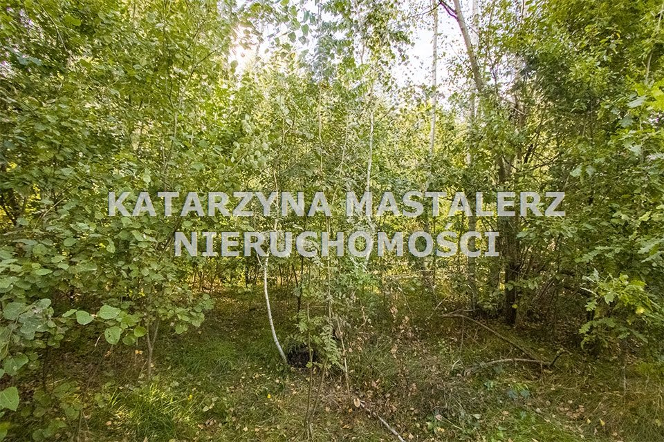 Działka 4 000,00 m², oferta nr , KMA-GS-403-42, Radziejowice-idx