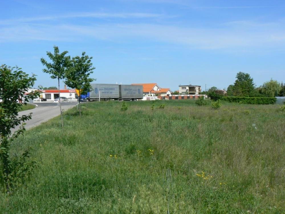 Działka 16 000,00 m², oferta nr , 18136, Rynarzewo-idx