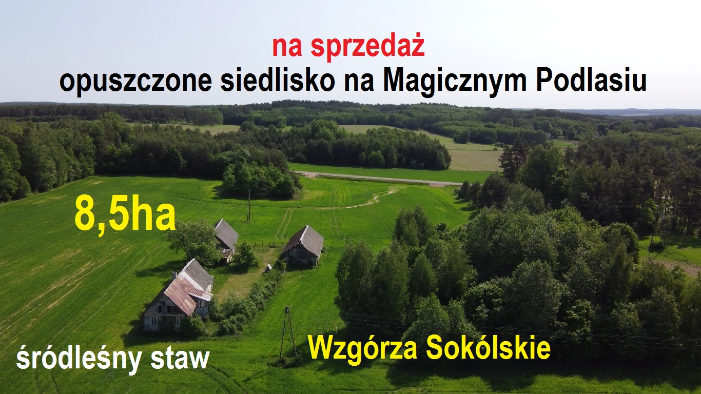 Działka 85 833,00 m², oferta nr , 9681776, Sokółka-idx