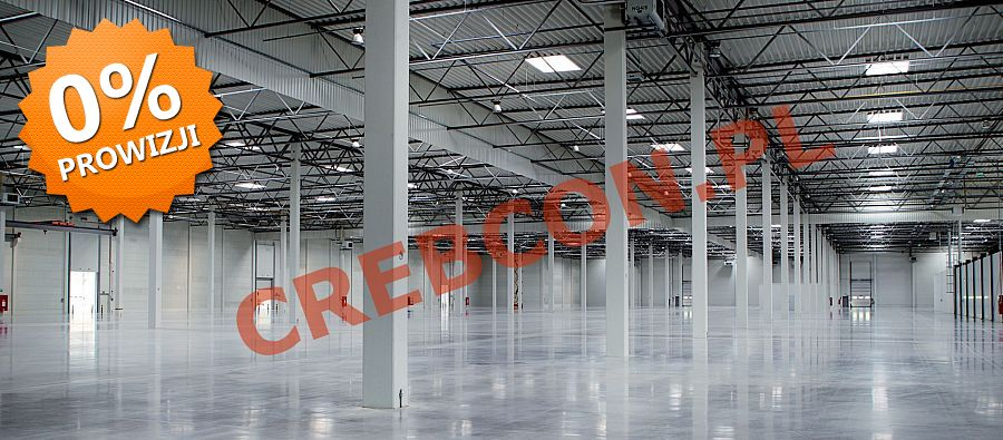 Magazyn 10 000,00 m², oferta nr , HW-0600-151807, Głuchowo-idx