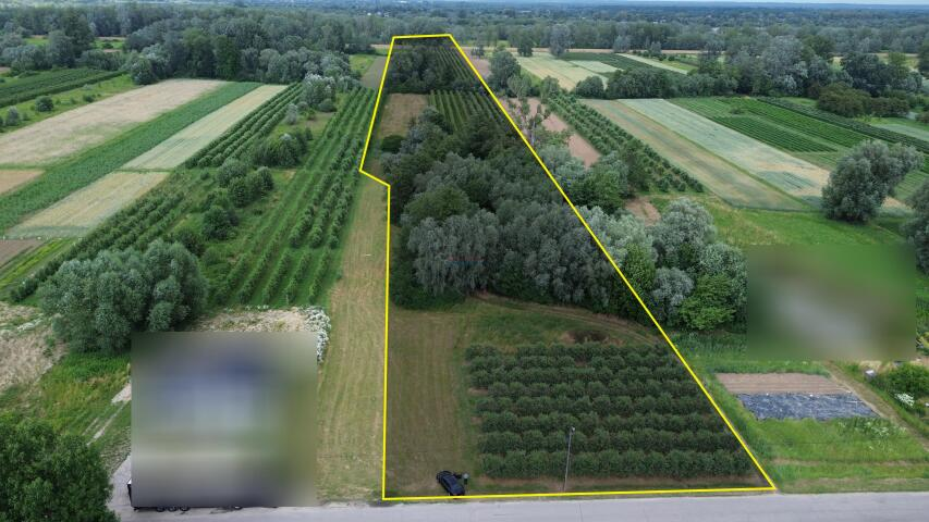 Działka 44 100,00 m², oferta nr , 20093, Dębówka-idx