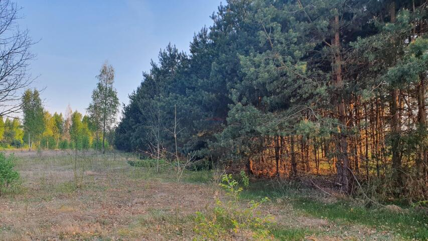 Działka 4 089,00 m², oferta nr , 19960, Mirowice-idx