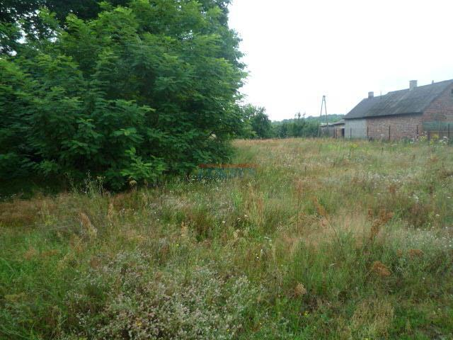 Działka 1 000,00 m², oferta nr , 18456, Sierzchów-idx