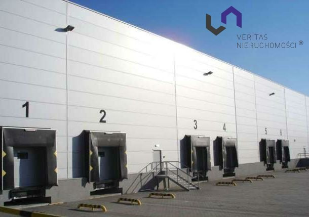 Magazyn 5 480,00 m², oferta nr , VTS-HW-5774, Rybnik-idx