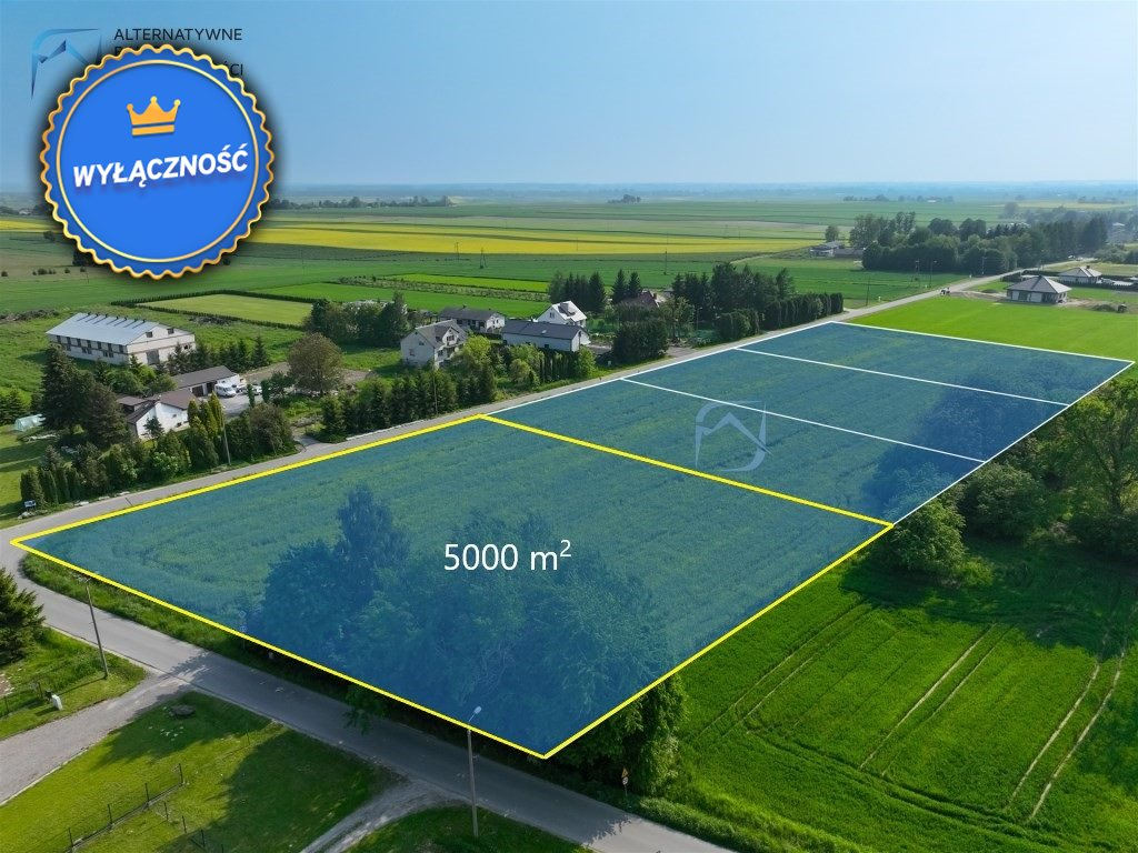 Działka 5 000,00 m², oferta nr , LER-GS-2471, Pawlin-idx