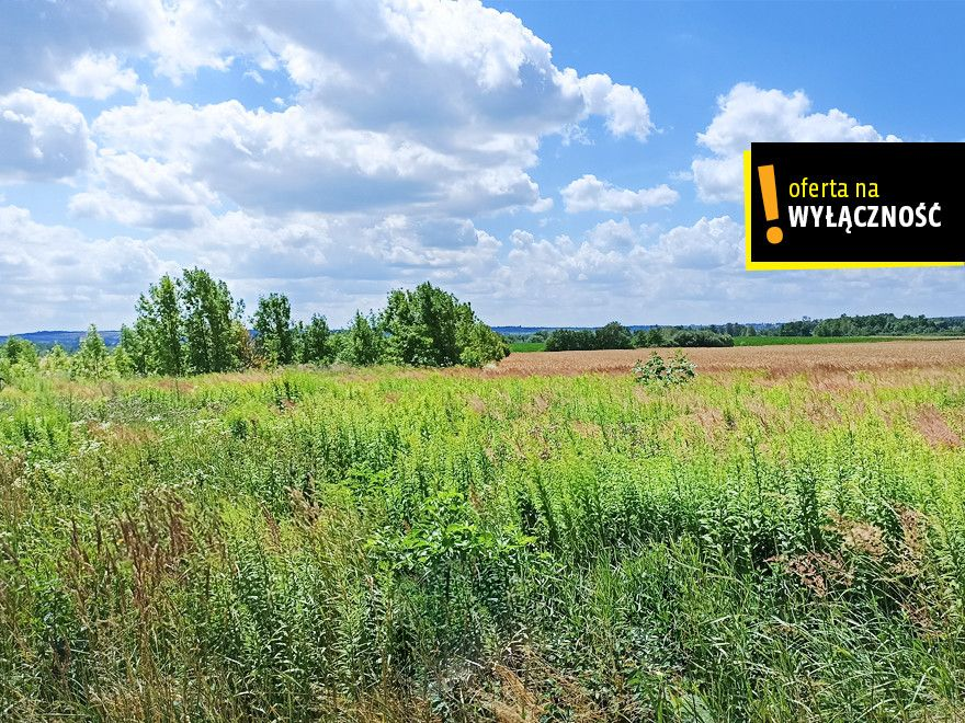 Działka 1 217,00 m², oferta nr , GH396292, Skorzów-idx