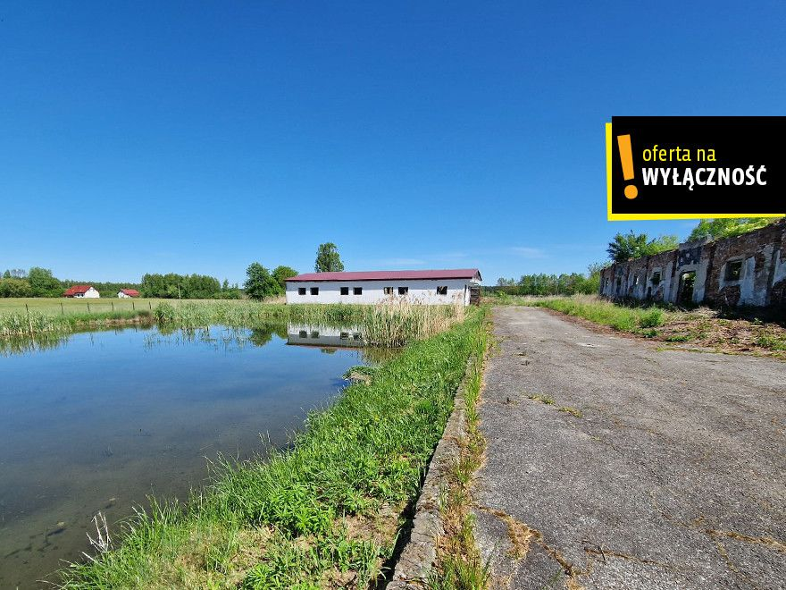 Działka 195 810,00 m², oferta nr , GH697093, Włynice-idx