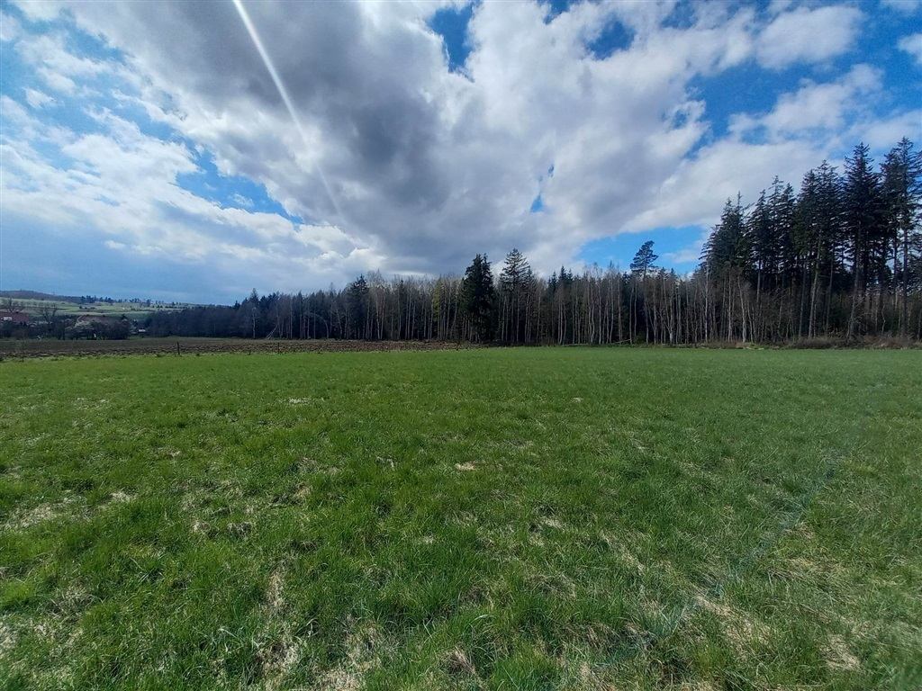 Działka 9 400,00 m², oferta nr , 543/14328/OGS, Borówno-idx