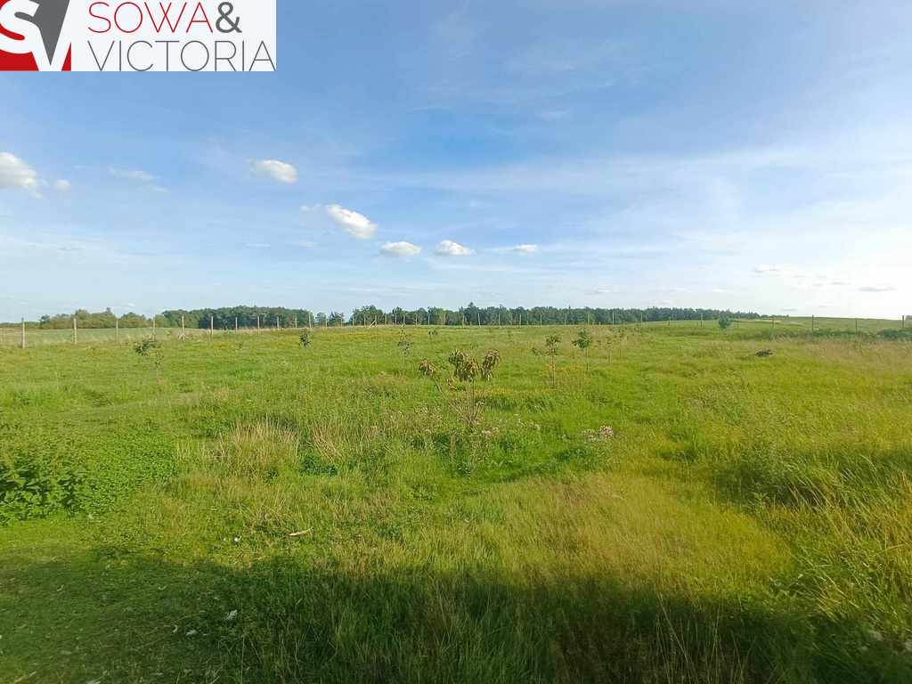 Działka 4 624,00 m², oferta nr , 670/14328/OGS, Cieszów-idx