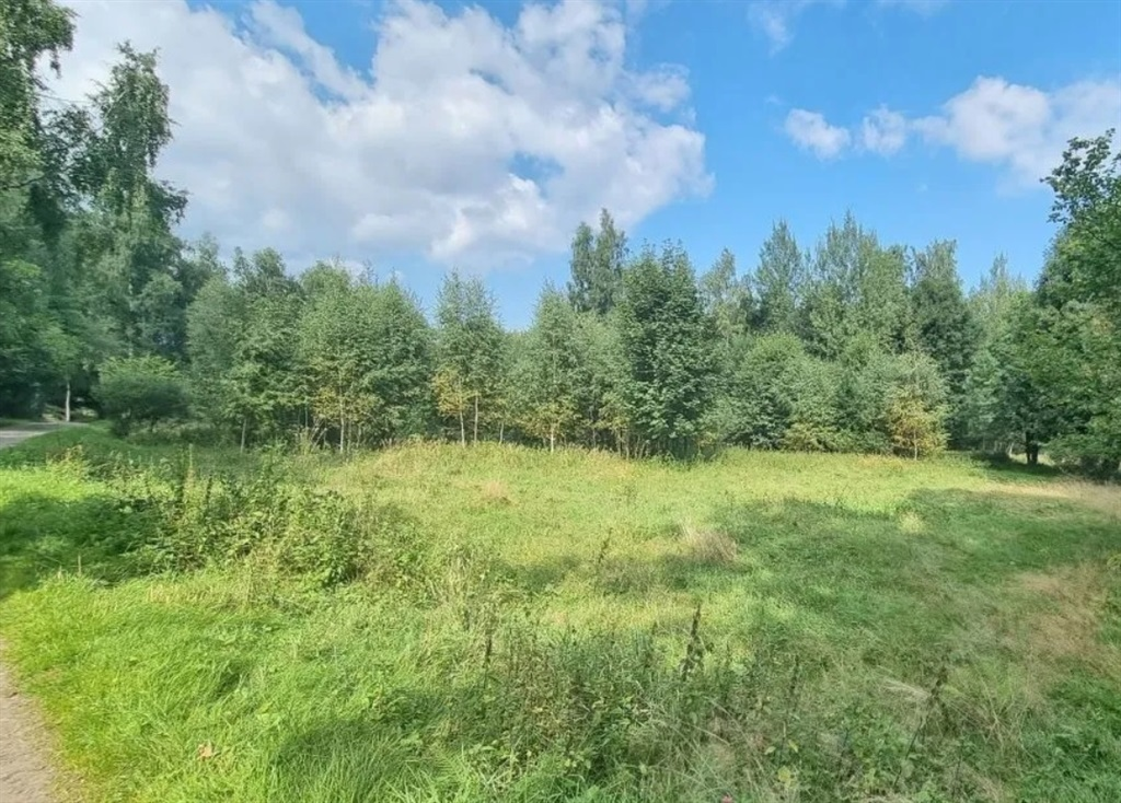 Działka 7 799,00 m², oferta nr , 223/14328/OGS, Piechowice-idx