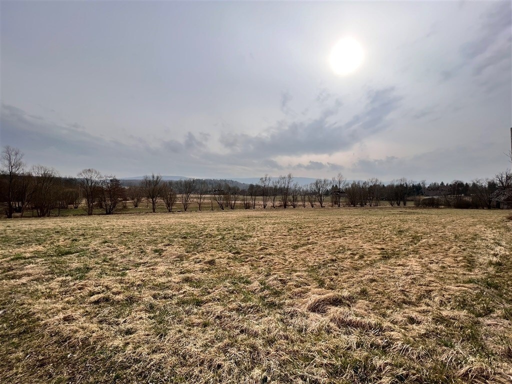 Działka 4 690,00 m², oferta nr , 516/14328/OGS, Rębiszów-idx