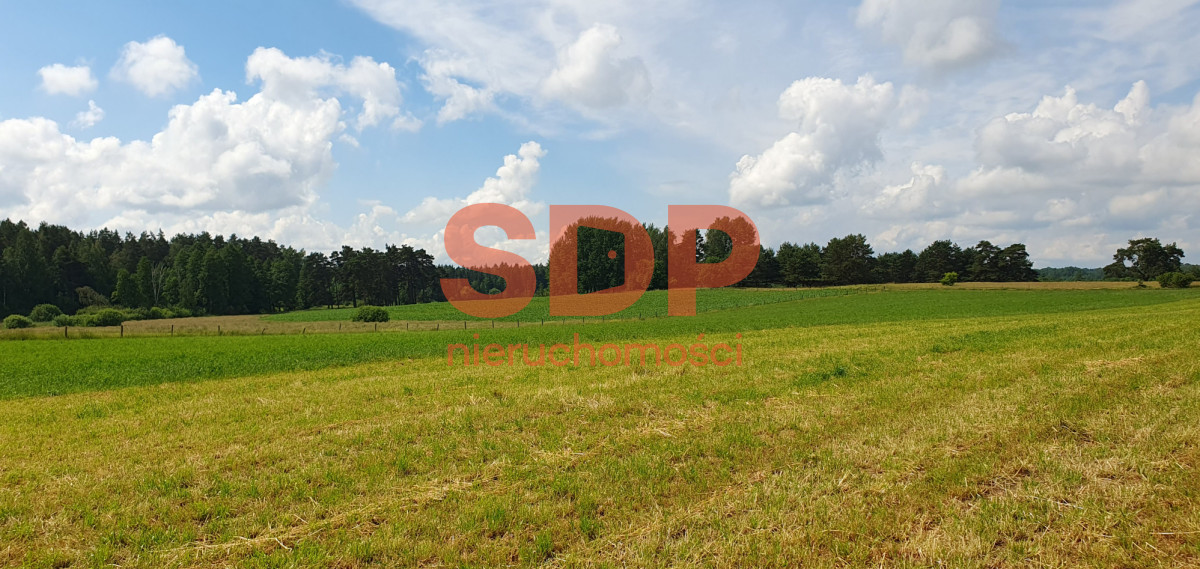 Działka 3 000,00 m², oferta nr , SDP372892, Przerwanki-idx