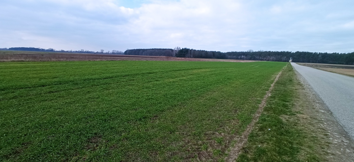 Działka 6 500,00 m², oferta nr , 830454, Łowicz, Łódzka-idx