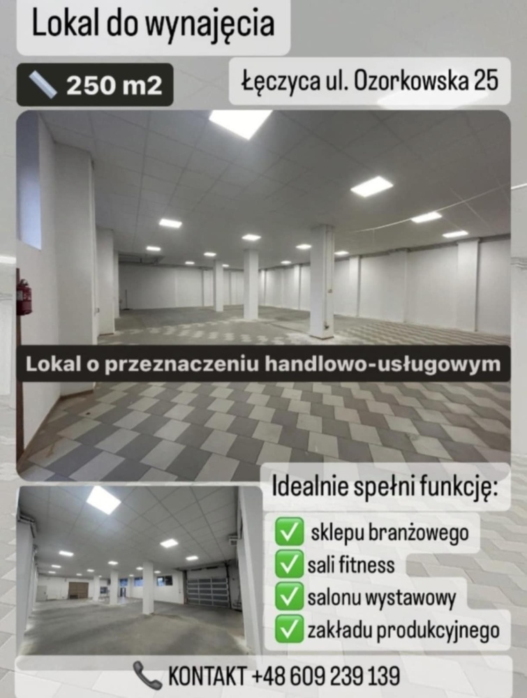 Lokal użytkowy 257,00 m², oferta nr , 830287, Łęczyca, Ozorkowska-idx