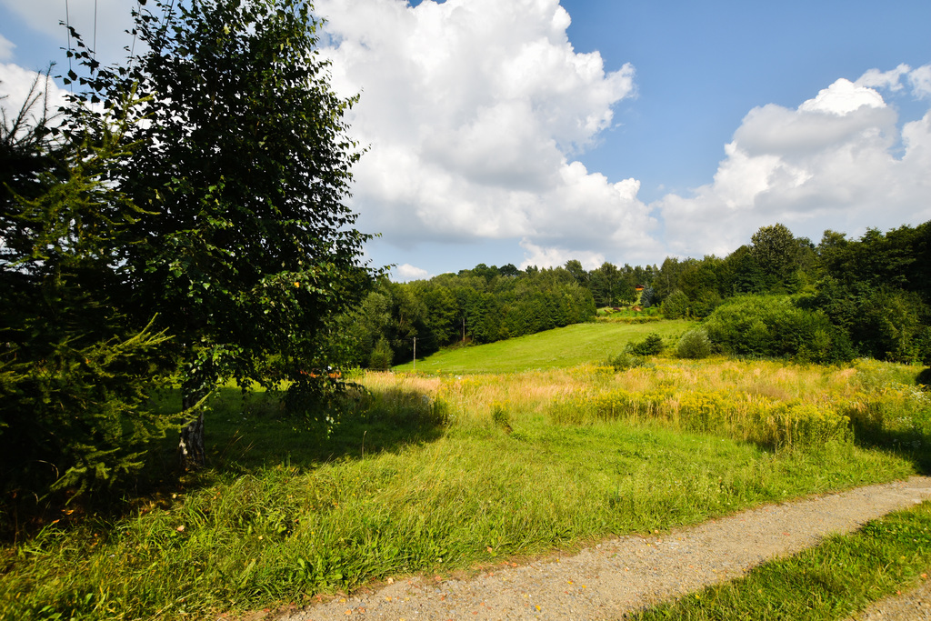 Działka 1 500,00 m², oferta nr , 267/7393/OGS, Rzeszów, Leśne Wzgórze-idx