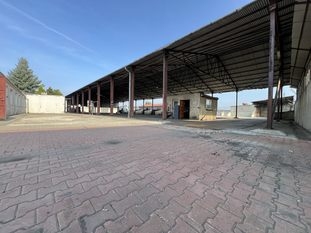 Lokal użytkowy 5 900,00 m², oferta nr , 13/7393/OOS, Rzeszów-idx