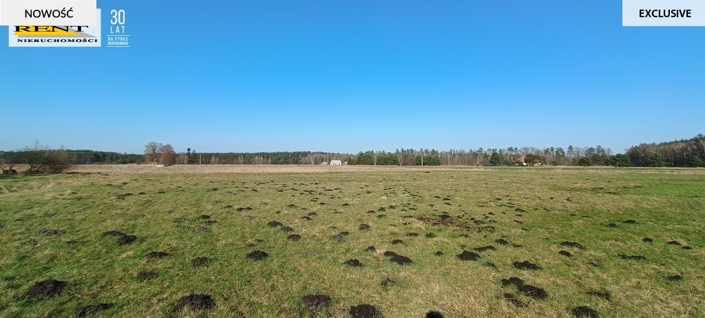 Działka 21 515,00 m², oferta nr , 3564/7376/OGS, Cisewo-idx