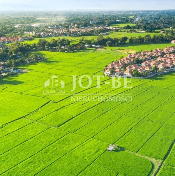 Działka 8 121,00 m², oferta nr , 4392/4112/OGS, Krzeptów-idx