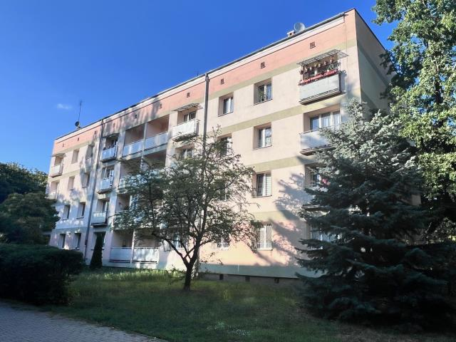 Apartament 37,00 m², piętro 2, oferta nr , 20964, Warszawa, Praga Północ, Praga Północ, Linneusza Karola-idx