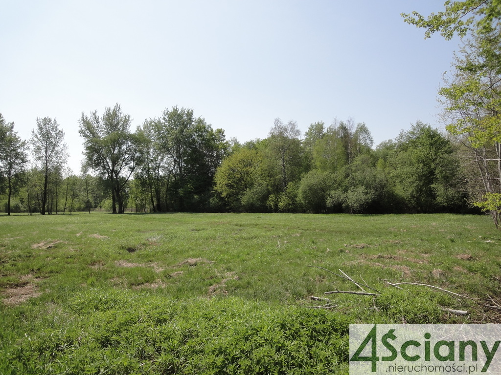 Działka 4 465,00 m², oferta nr , 8179/3098/OGS, Chojnów-idx