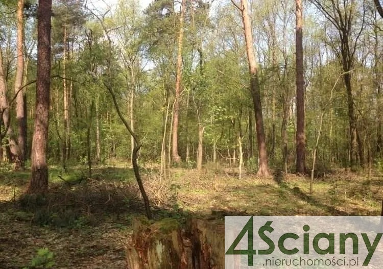 Działka 2 315,00 m², oferta nr , 7696/3098/OGS, Sękocin-Las-idx