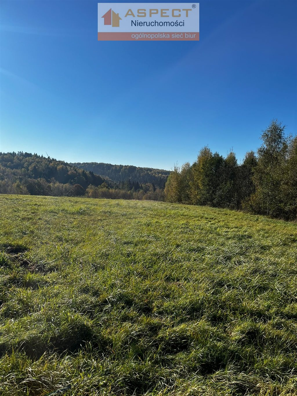 Działka 6 447,00 m², oferta nr , ASR-GS-49708, Dynów-idx