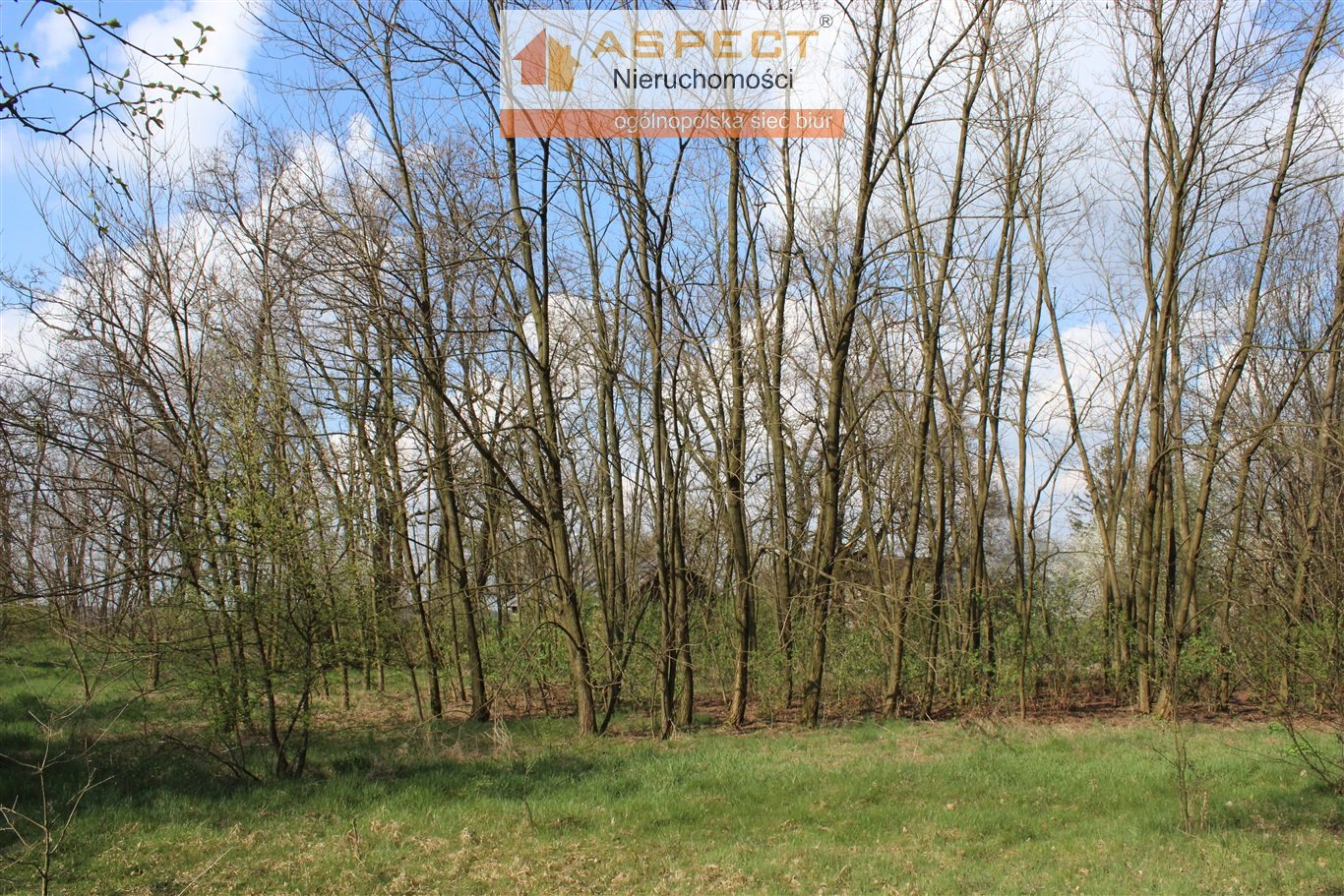 Działka 3 000,00 m², oferta nr , APO-GS-48861, Gąbin-idx