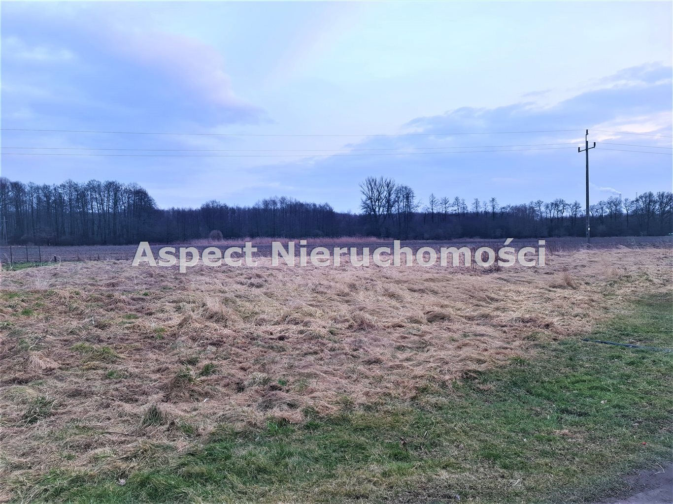 Działka 1 284,00 m², oferta nr , ASJ-GS-45897, Godów-idx