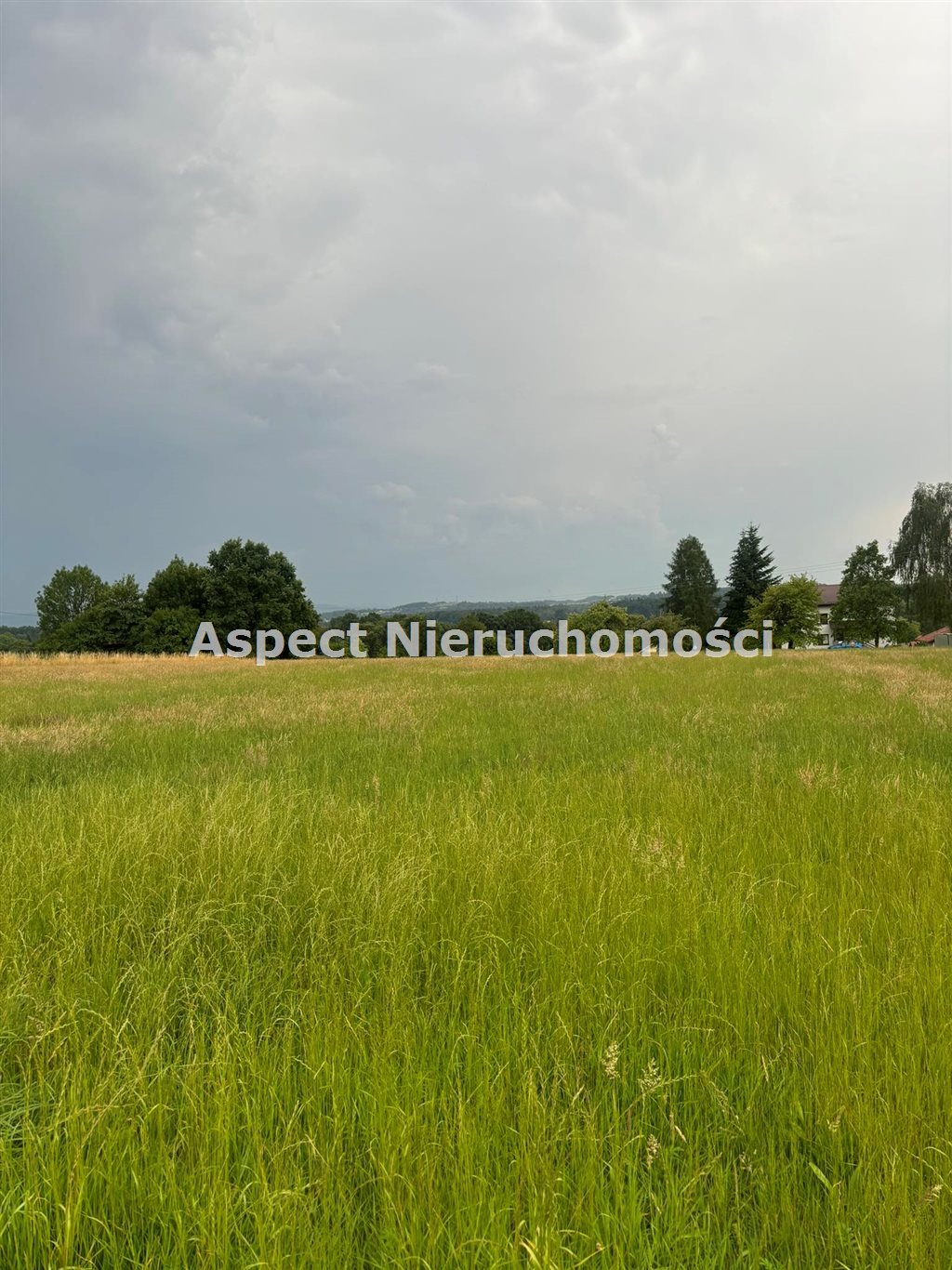 Działka 1 063,00 m², oferta nr , ASJ-GS-48973, Hażlach-idx