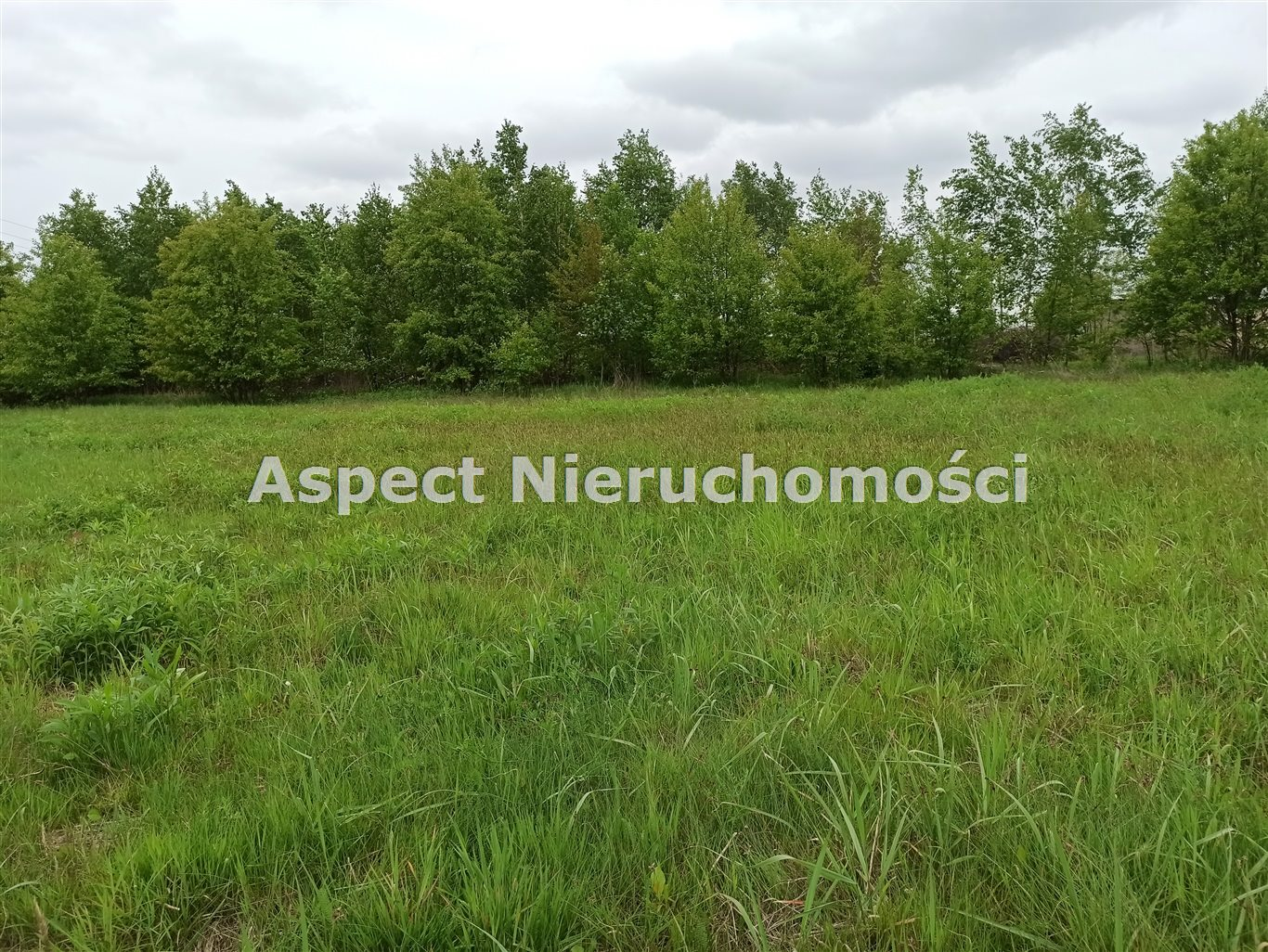 Działka 4 300,00 m², oferta nr , ASJ-GS-47869, Mszana-idx