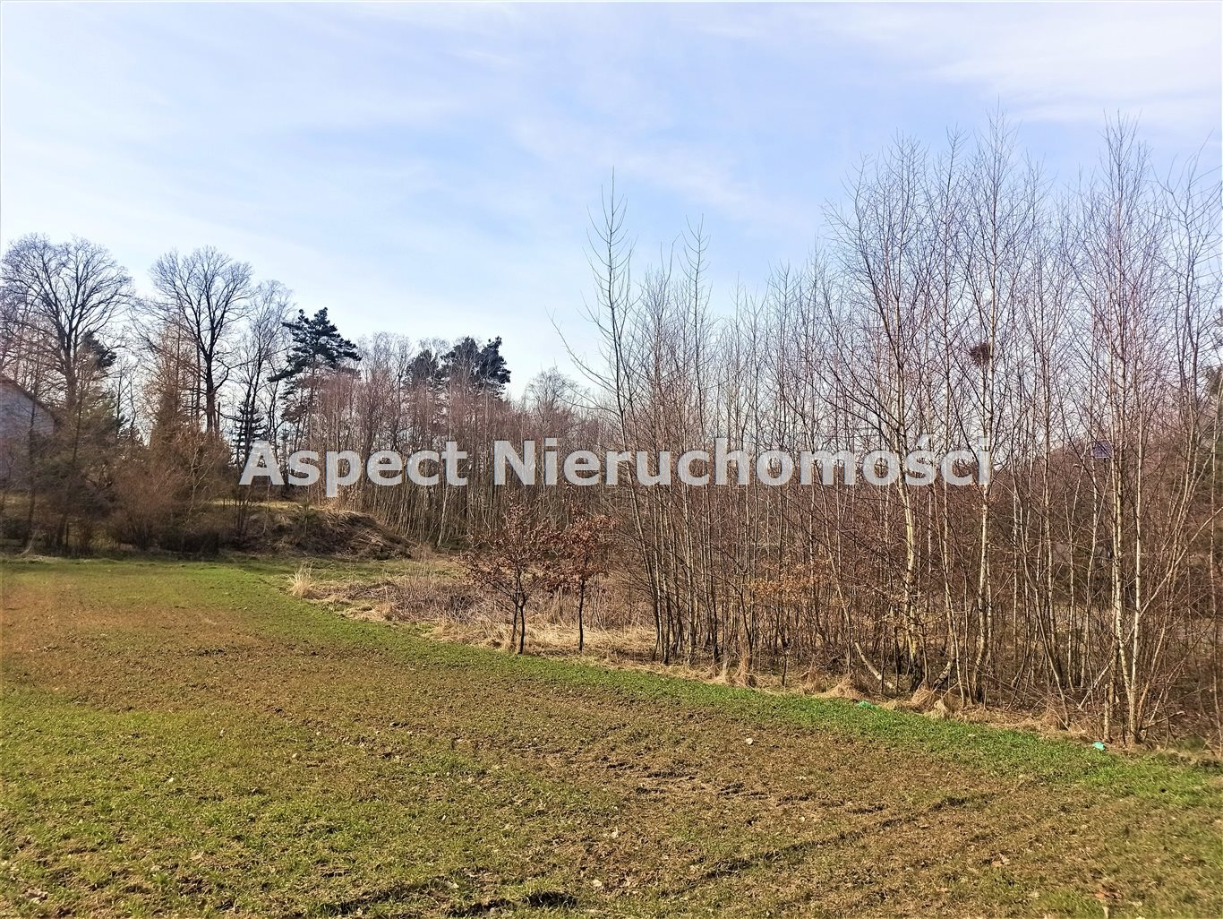 Działka 1 203,00 m², oferta nr , ASJ-GS-45971, Świerklany-idx