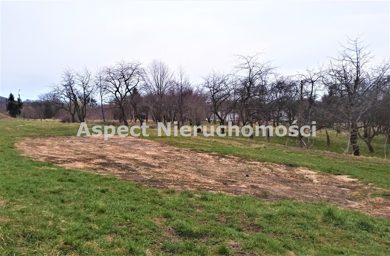 Działka 1 009,00 m², oferta nr , ASJ-GS-46063, Świerklany-idx