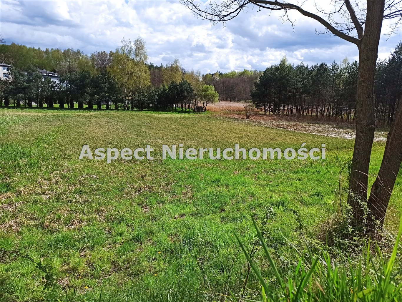 Działka 1 586,00 m², oferta nr , ASJ-GS-48372, Świerklany-idx